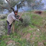 Aydınlı Mehmet Dede, tek bacağıyla ilham veriyor