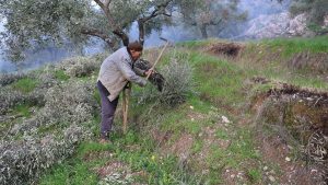 Aydınlı Mehmet Dede, tek bacağıyla ilham veriyor