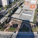 Betonun arasından orman çıktı