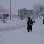 Bitlis ve Van’da 205 yerleşim yerinin yolu kardan kapandı