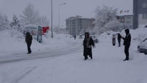 Bitlis ve Van’da 205 yerleşim yerinin yolu kardan kapandı