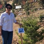 Bolu’da oğlunun mezarı başında kalp krizi geçiren anne hayatını kaybetti