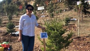 Bolu’da oğlunun mezarı başında kalp krizi geçiren anne hayatını kaybetti