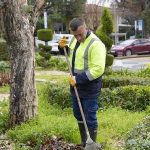 Burhaniye’de Park ve Yeşil Alanlar Yenileniyor