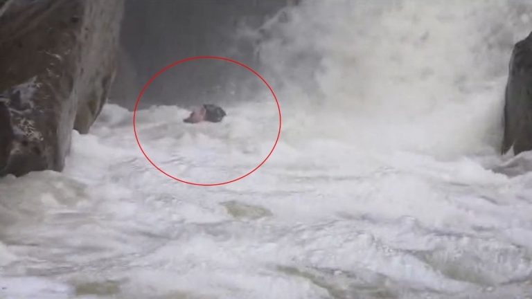 Bursa’da dağcıların su seviyesi yükselen deredeki zor anları