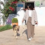 Can dostlar yeni yuvalara sahiplendiriliyor