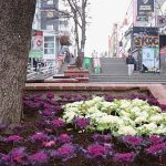 Çansera’dan Kent Merkezine Kış Renkleri