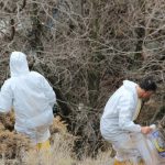 Çorum’da kan donduran cinayet: Yaşlı adamın cesedi parçalanmış halde bulundu