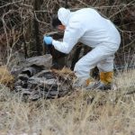 Çorum’daki cinayette yaşlı adamın kesik başı ormanda bulundu