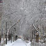 Doğu Anadolu’nun kışla imtihanı: Kar yağışı devam ediyor