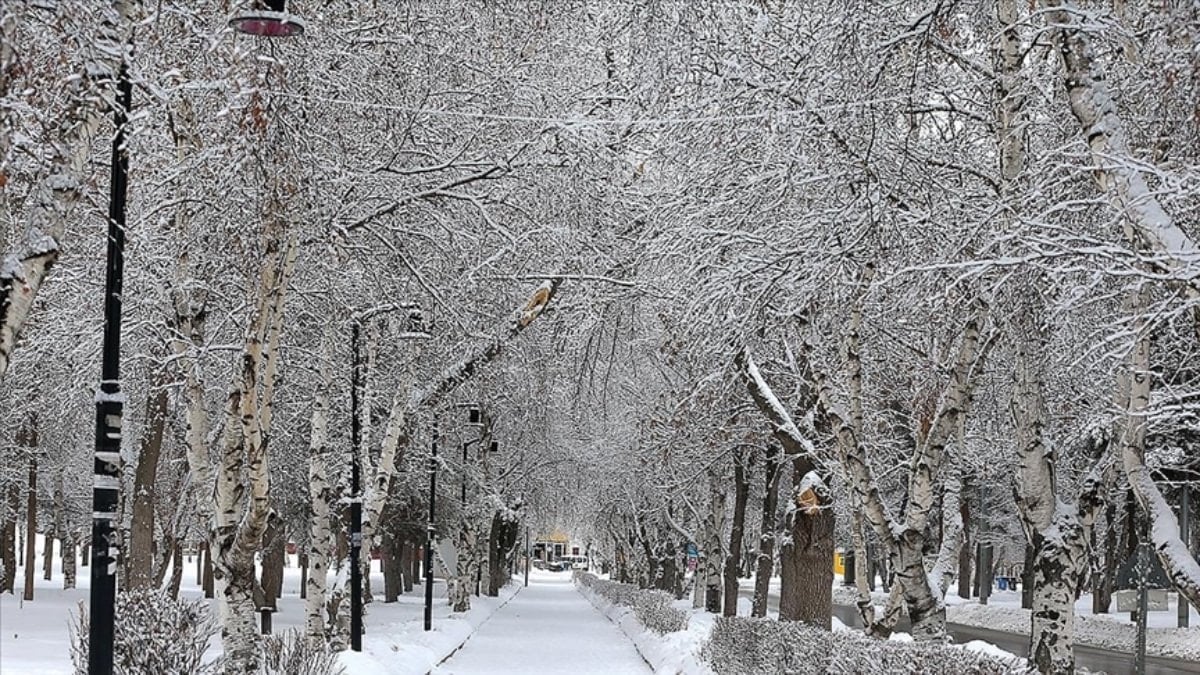 Doğu Anadolu’nun kışla imtihanı: Kar yağışı devam ediyor