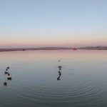 Edirne’de  kaçak avlanan 4 kişiye 762 bin TL ceza kesildi