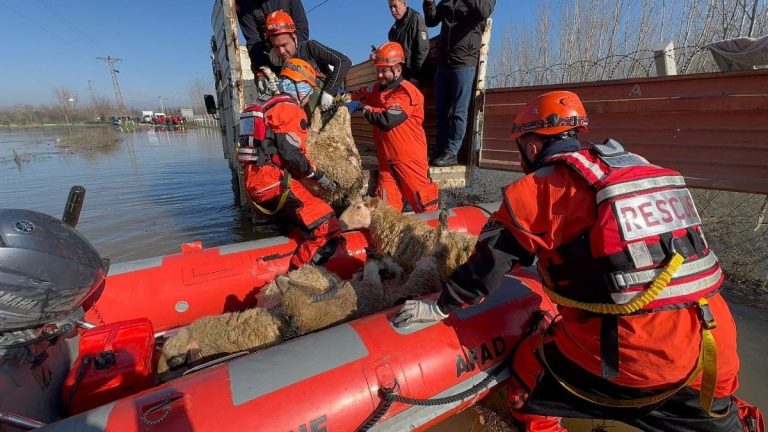 Edirne’de taşkın alarmı: Mahsur kalan hayvanlar botlarla tahliye ediliyor