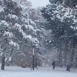 Erzincan’da kardan 524 köy yolu kapandı