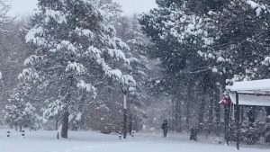 Erzincan’da kardan 524 köy yolu kapandı