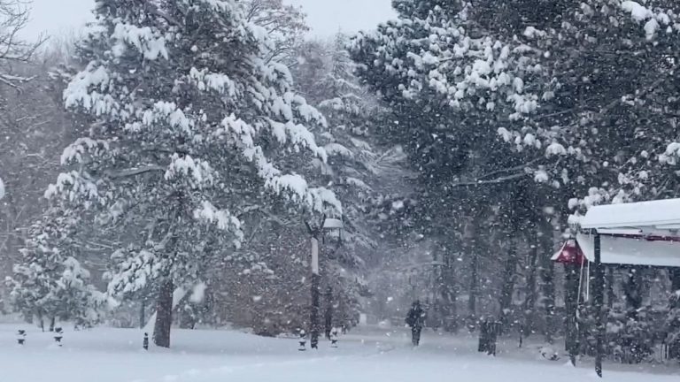 Erzincan’da kardan 524 köy yolu kapandı