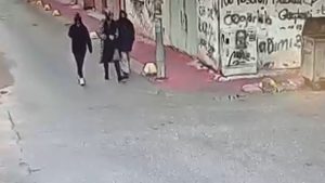 Eskişehir’de bebek kamerası dahil ne bulduysa çalan kadının 70 suç kaydı çıktı