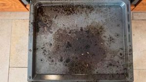 Fırın tepsisindeki yanıkları ovmaya son! Bir avuç yetiyor, lekeler kendiliğinden akıp gidiyor.