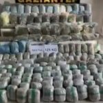 Gaziantep’te tırdan 121 kilo skunk çıktı