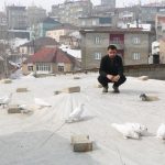 Hakkari’de evinin damında 3 ayrı ırktan 50 güvercin besliyor