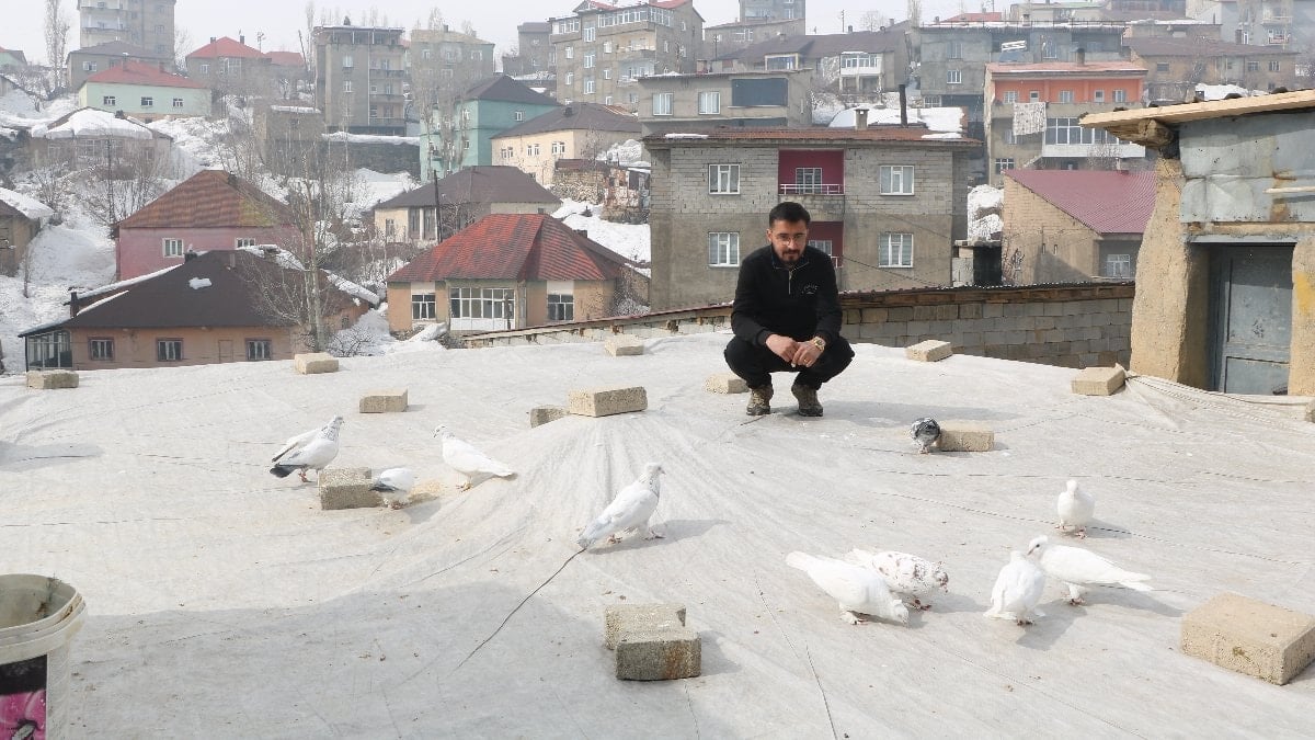 Hakkari’de evinin damında 3 ayrı ırktan 50 güvercin besliyor