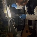 İstanbul Avcılar’da metruk binada uyuşturucu imalathanesi bulundu