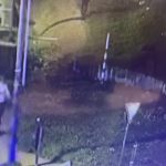 İstanbul’da “ceset buldum” ihbarı yapan kişi katil çıktı