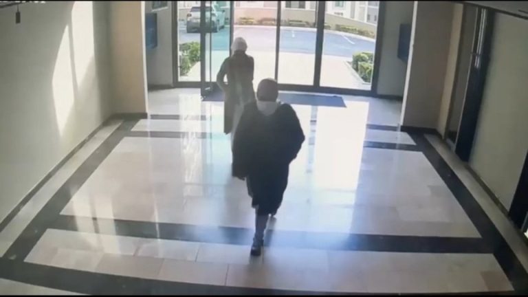 İstanbul’da evlere dadanan hırsızlara polis takibi