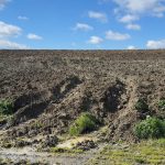 İstanbul’da kayıp Çinli iş insanının cesedi gömülü bulundu