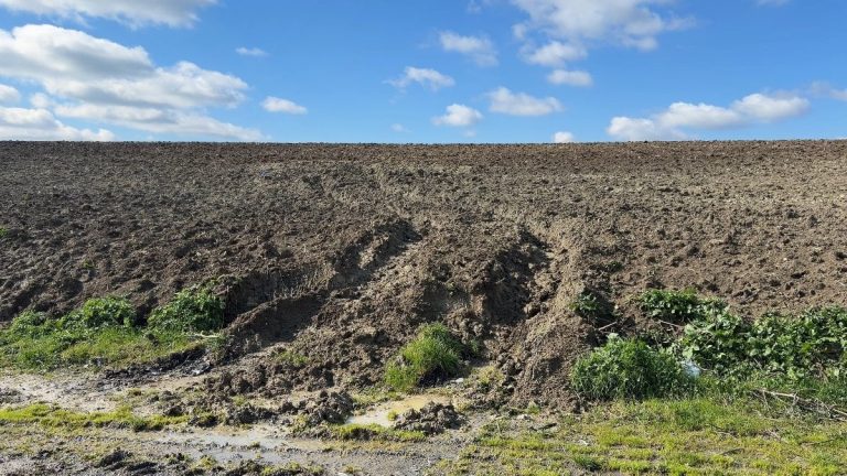 İstanbul’da kayıp Çinli iş insanının cesedi gömülü bulundu