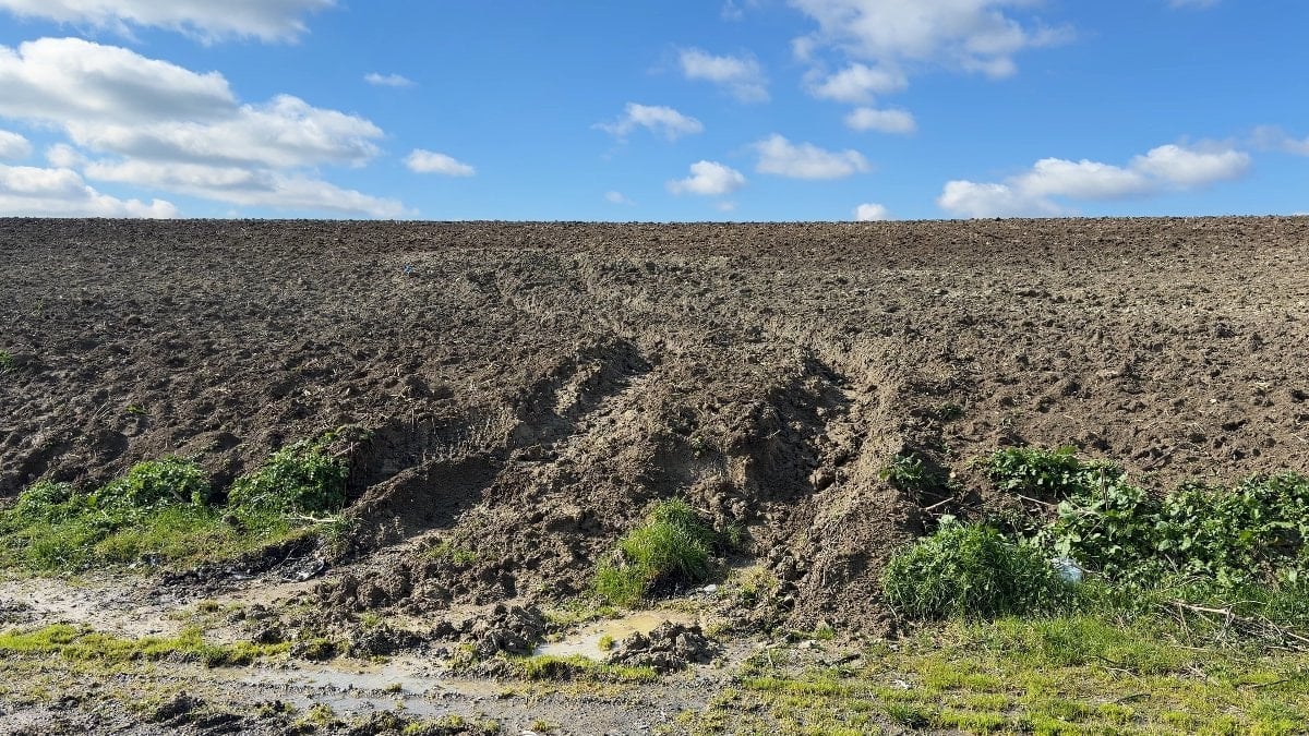 İstanbul’da kayıp Çinli iş insanının cesedi gömülü bulundu