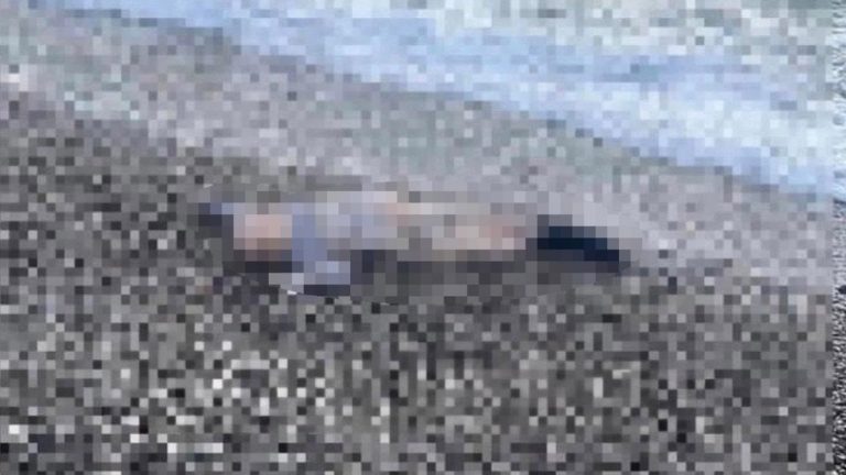 İzmir’de deniz kenarında çocuğa ait cansız beden bulundu