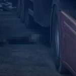 İzmir’de geri manevra yapan tırın altında kalarak can verdi