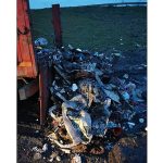 Kaçak döküme suçüstü