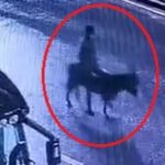 Kayseri’de forkliftle kuyumcu soyan şahıs eşekle kaçtı