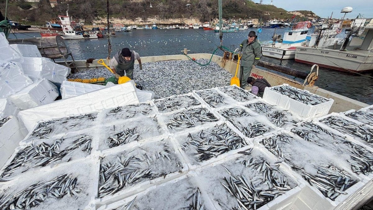 Kırklarelili balıkçılar, 30 ton hamsi avladı