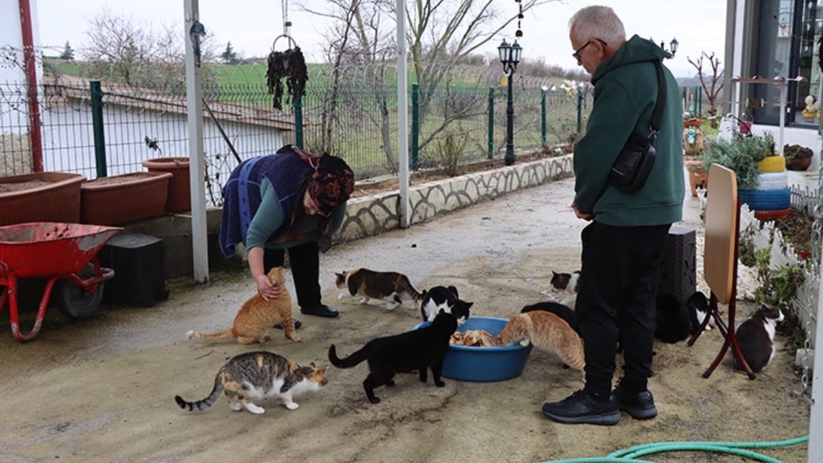 Kırklareli’nde doktor tavsiyesiyle başlayan sevgi, 40 kedilik yuvaya dönüştü