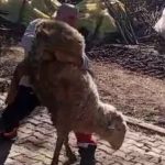 Kocaeli’de koçla güreşen 51 yaşındaki dünya şampiyonu, gençlere ilham oldu