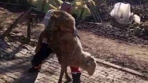 Kocaeli’de koçla güreşen 51 yaşındaki dünya şampiyonu, gençlere ilham oldu