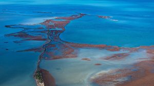 Kuraklık Gediz Deltası’nda kirlilik baskısını derinleştiriyor