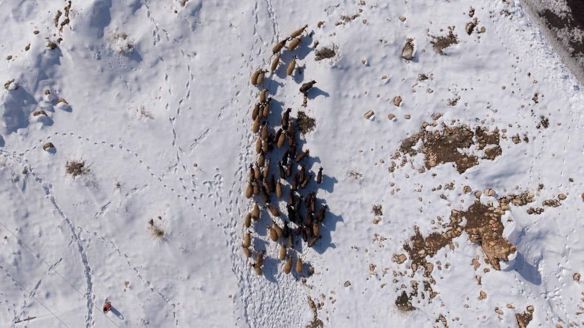 Mardin’de besicilerin karla mücadelesi