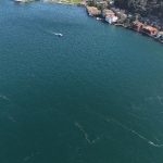 Marmara Denizi’nde yaşanan kirlilik sonrası denizanaları yüzeye çıktı