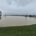 Meriç Nehri’nde su seviyesi giderek artarken tehlike yaşam alanlarına kadar ulaştı