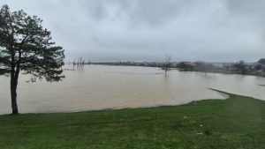 Meriç Nehri’nde su seviyesi giderek artarken tehlike yaşam alanlarına kadar ulaştı