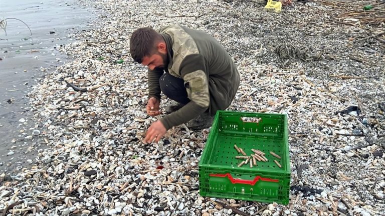 Mersin’de fırtına sonrası sahile vuran binlerce kargı midyesini balıkçılar topladı