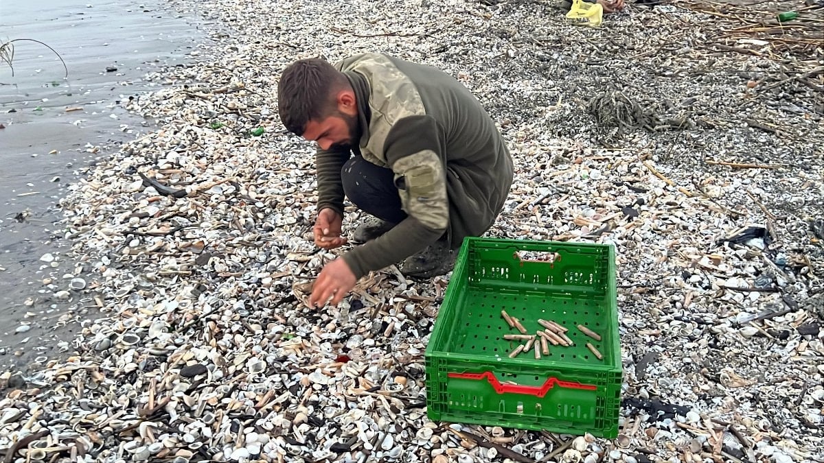 Mersin’de fırtına sonrası sahile vuran binlerce kargı midyesini balıkçılar topladı