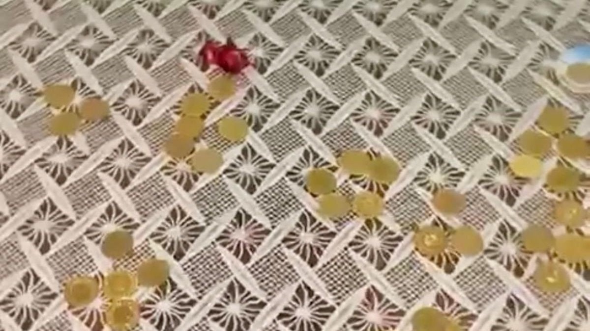 Mersin’de yaşlı kadının 3 milyon liralısını dolandırdılar: Polisten kaçamadılar