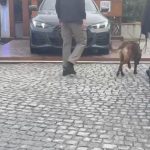 Narko Polisler Club House adlı mekana baskın düzenledi