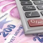 OECD Raporu: Türkiye’de Vergi Gelirlerinin GSYH’ye Oranı Yükseldi