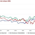 Para Nerden Çıktı?  Nereye Aktı?